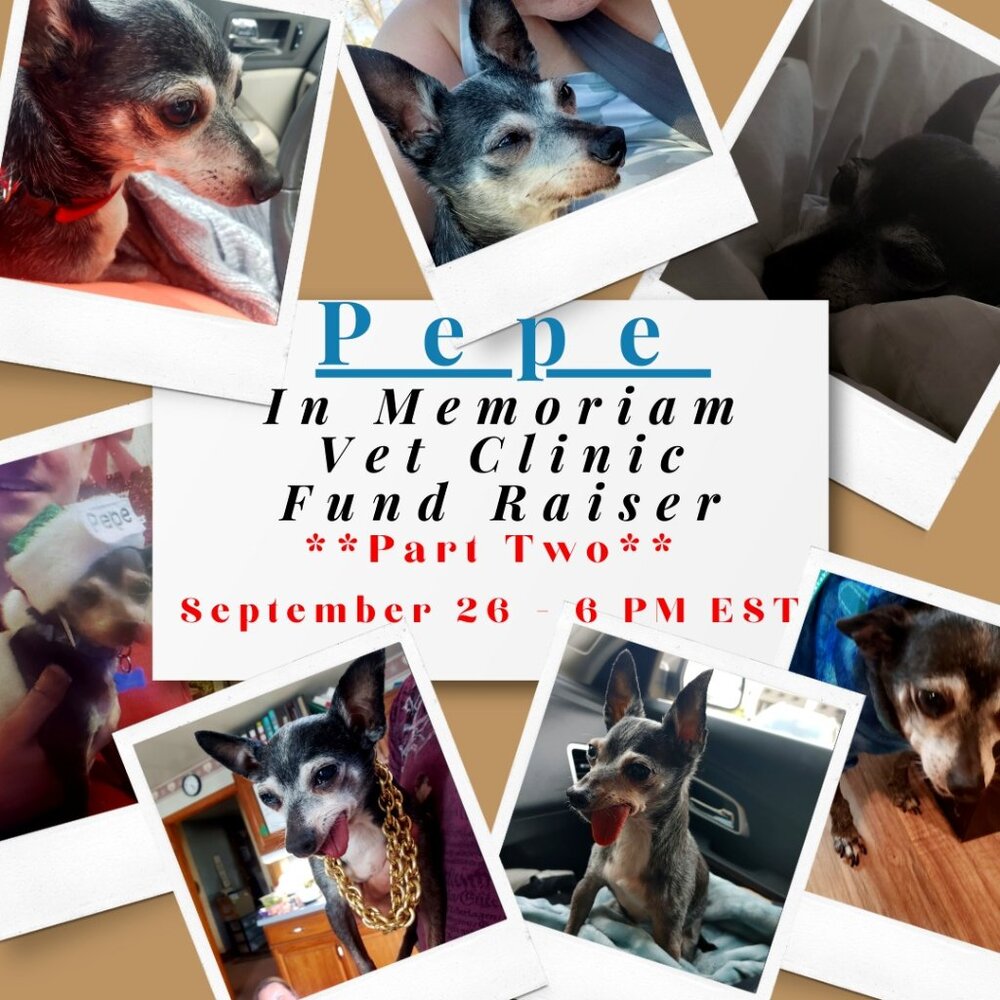 PART TWO - 09/26/24 - Pepe - In Memoriam - Vet Clinic Fund Raising Show